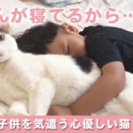 心優しい猫さんたち💕  こどものために「空気を読む」🥰