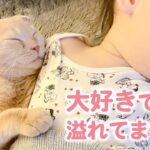 お互い大好きを伝え合う♡猫好きな女の子と2匹のニャンコのほのぼのな日々