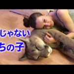 家族になったのは動物園で生まれたピューマ。まるで「大きな猫」のように育っていきました。