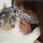 Very Gentle and Comfortable Cat Grooming – 癒やしのナッツちゃん