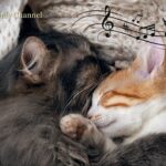 528 Hz Deep Healing Music for Stressed and Anxious Cats (with cat purring sounds)