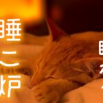 眠れる暖炉は ねこ暖炉 – 猫のゴロゴロ音と暖炉の音でぐっすり熟睡【 睡眠用BGM 猫 】😺