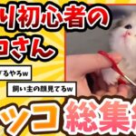 【2ch動物スレ総集編】初めて爪切りをする子ネッコ→反応が可愛すぎるwww / ネッコ300選！