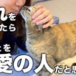 【猫の気持ち】猫が最愛の人だけにみせる行動
