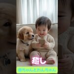 赤ちゃんとわんちゃんの癒し#犬#癒し#赤ちゃん#cutedog#Healing# cutebaby