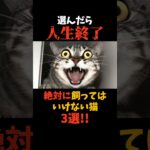 絶対に飼うな！人生が終了する猫3選#shorts