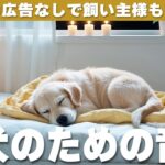 🐶広告なし🐶犬が寝る音楽 / 愛犬が落ち着くリラックス音楽 / dog calming music / 12 Hours Of Calming Music For Dog