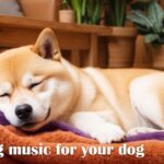 犬が落ち着くリラックス音楽（途中広告なし） / 12時間BGM / お留守番 / 雷対策 / 不安分離解消